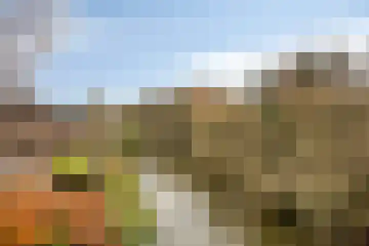 Charlotte van Pallandtlaan 14 Alphen aan den Rijn thumbnail 8