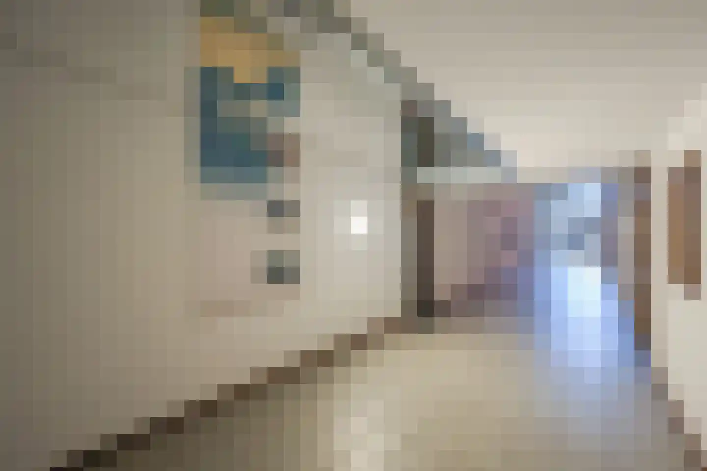 Charlotte van Pallandtlaan 20 Almere thumbnail 30
