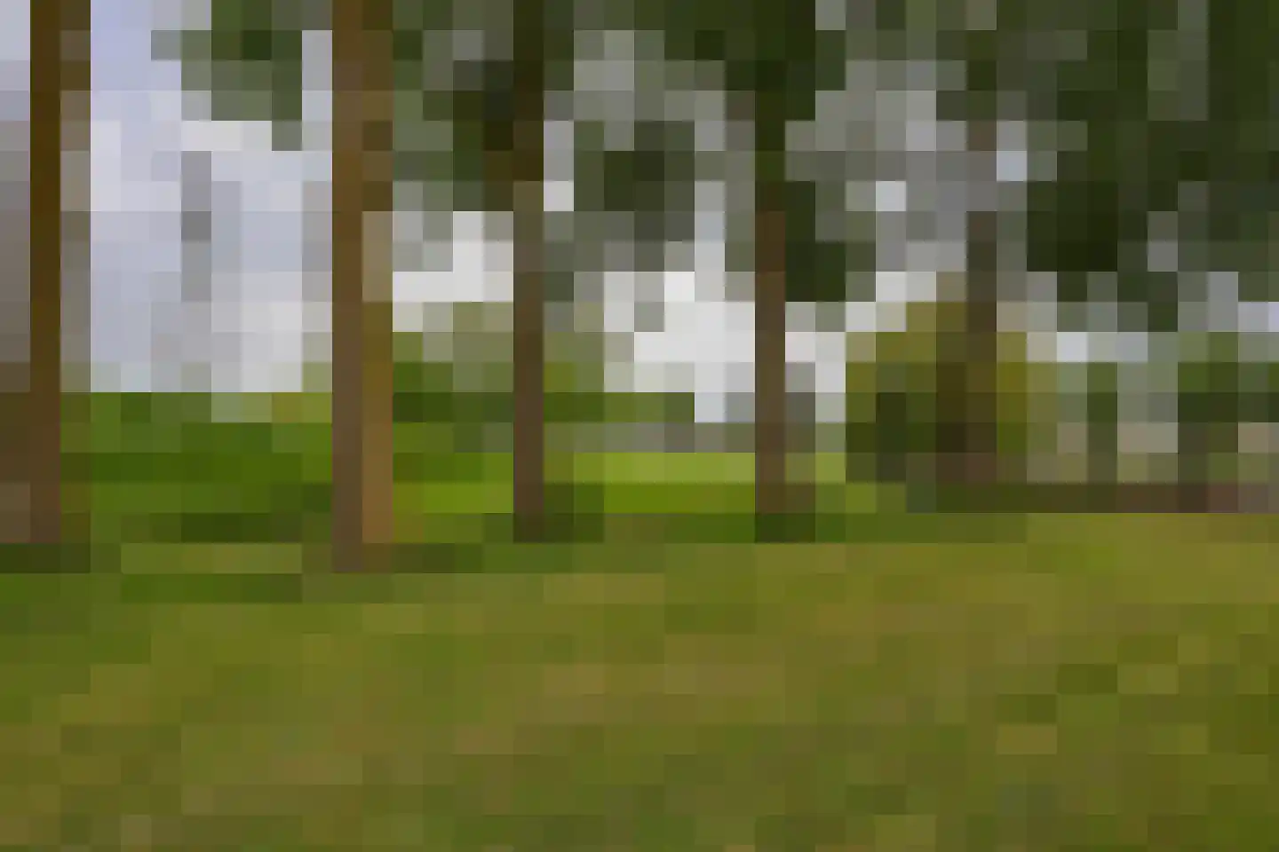 Charlotte van Pallandtlaan 20 Almere thumbnail 44