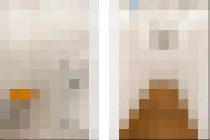 Charlotte van Pallandtlaan 24 Almere thumbnail 23