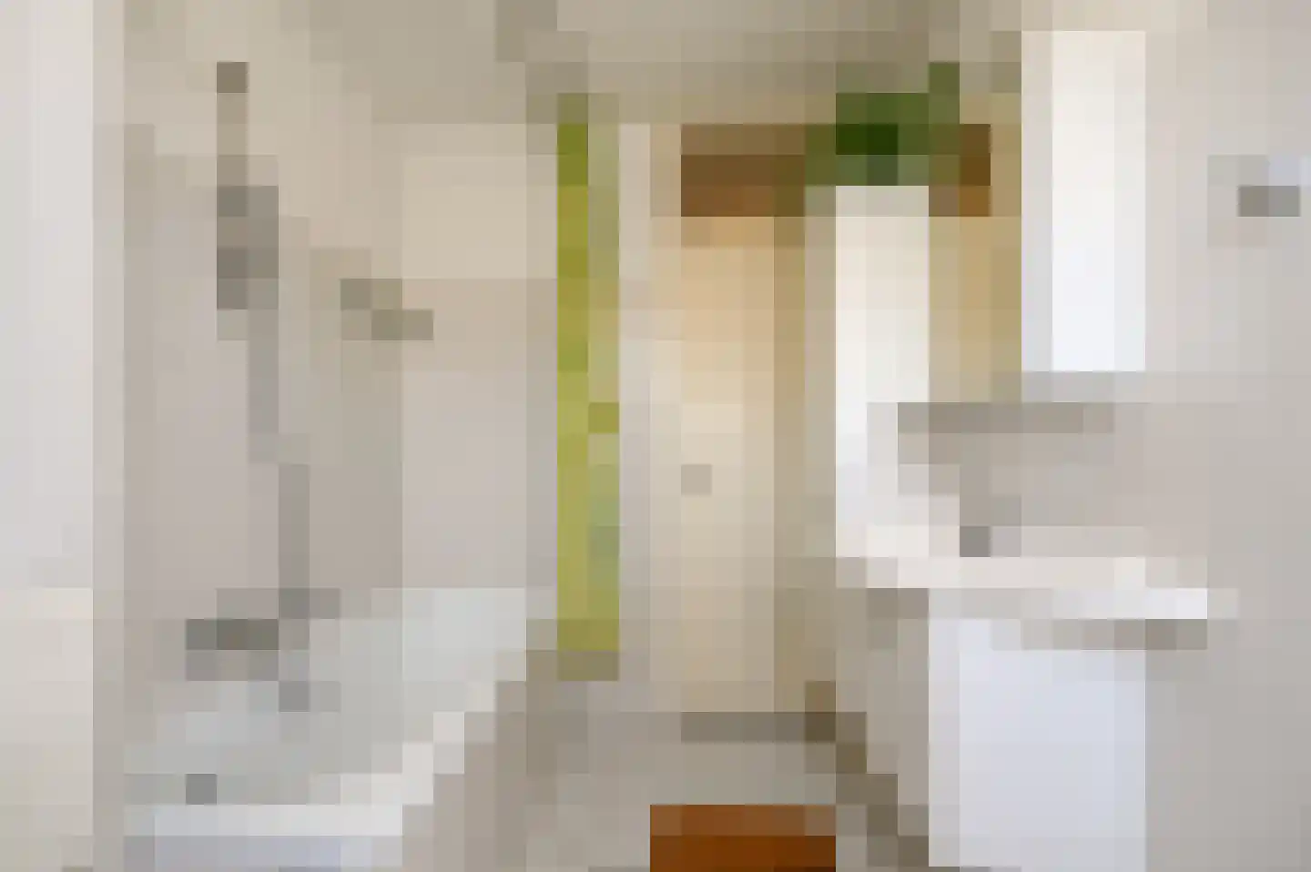 Charlotte van Pallandtlaan 24 Heemstede thumbnail 18