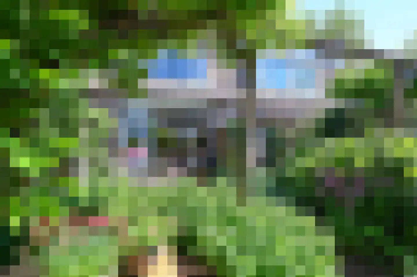 Charlotte van Pallandtlaan 24 Heemstede thumbnail 31