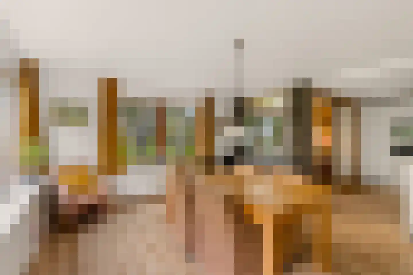 Charlotte van Pallandtlaan 28 Almere thumbnail 21