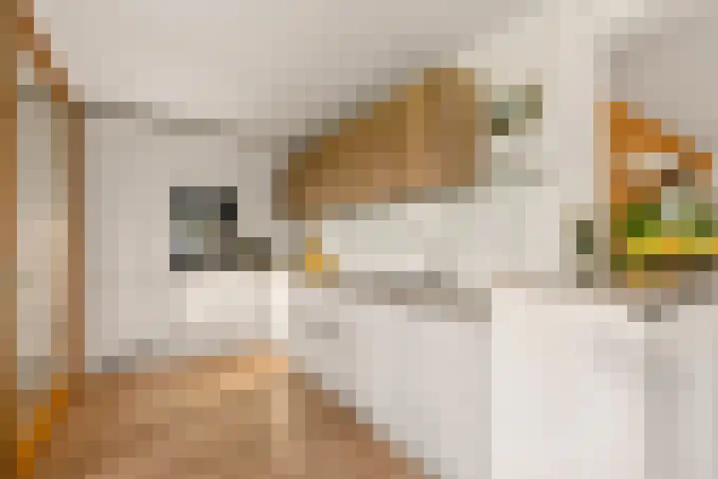 Charlotte van Pallandtlaan 28 Almere thumbnail 22