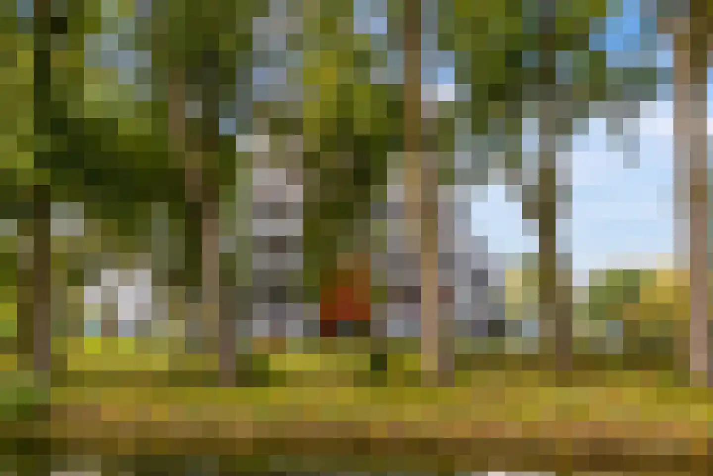 Charlotte van Pallandtlaan 28 Almere thumbnail 42