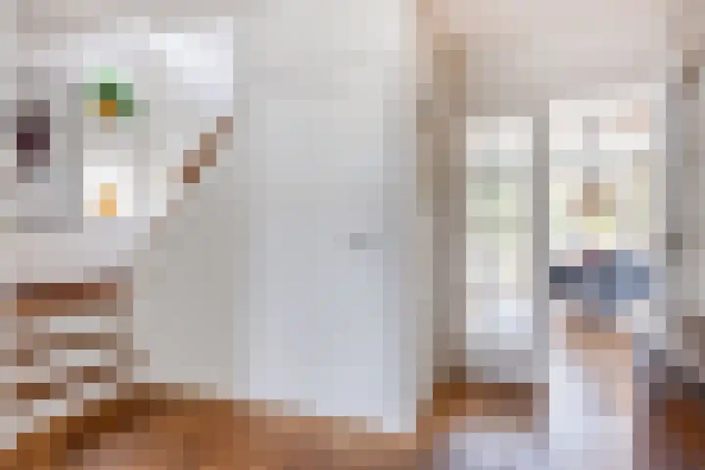 Charlotte van Pallandtlaan 3 Castricum thumbnail 27