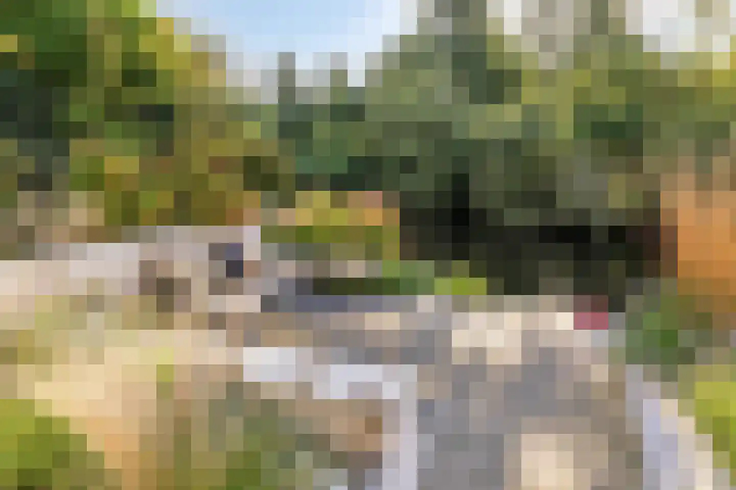 Charlotte van Pallandtlaan 3 Castricum thumbnail 4