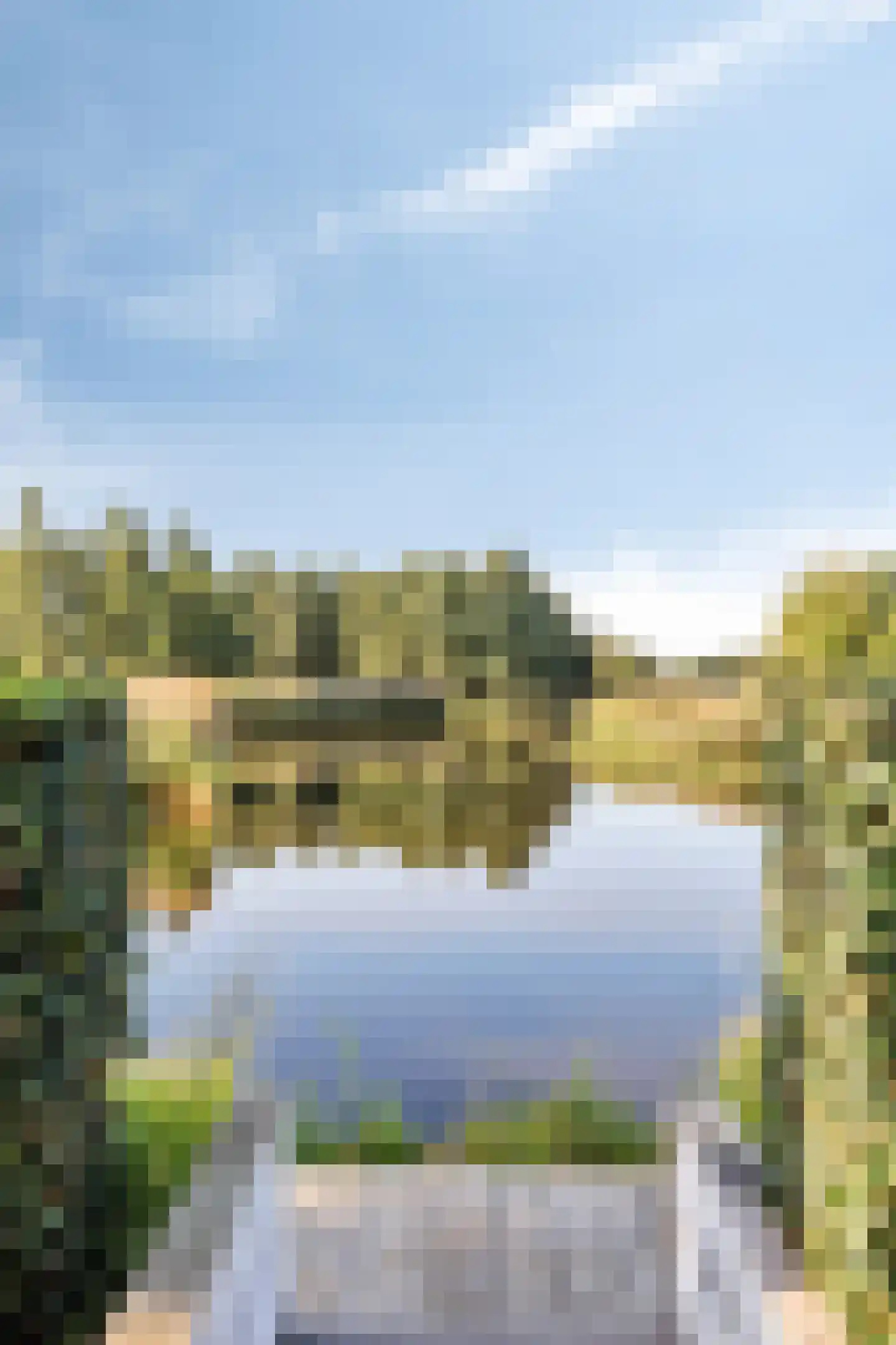 Charlotte van Pallandtlaan 3 Castricum thumbnail 48