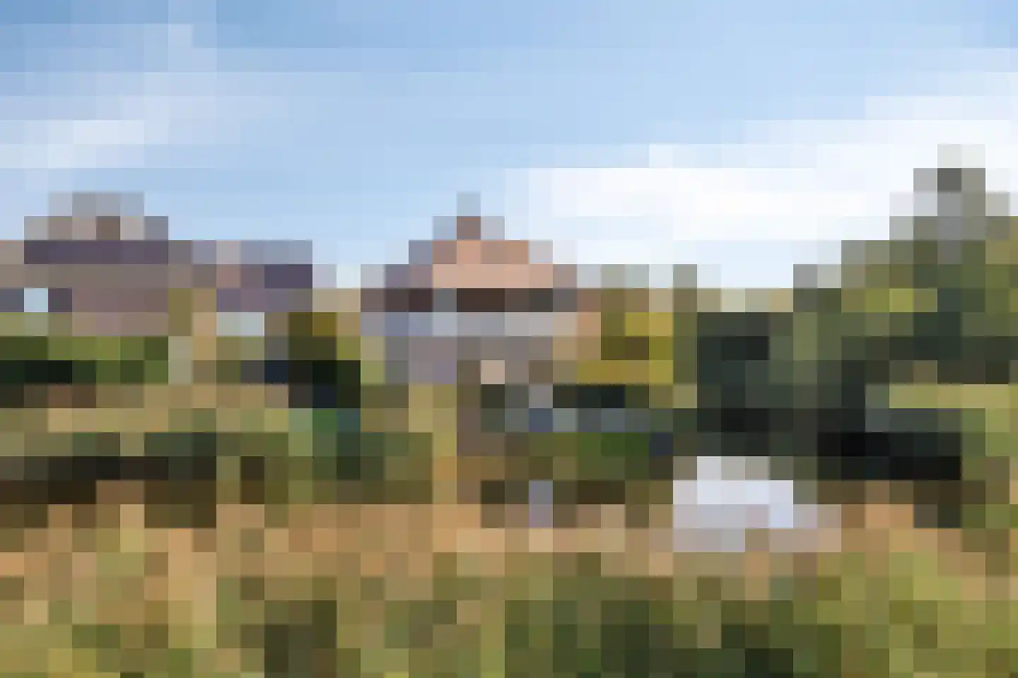 Charlotte van Pallandtlaan 3 Castricum thumbnail 5