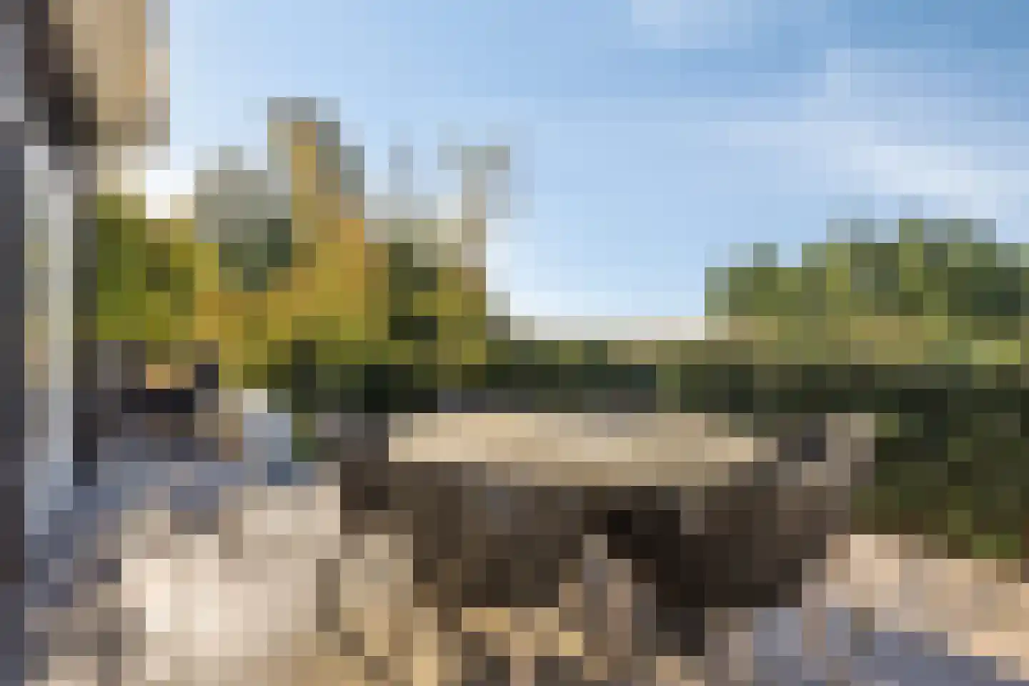 Charlotte van Pallandtlaan 3 Castricum thumbnail 60