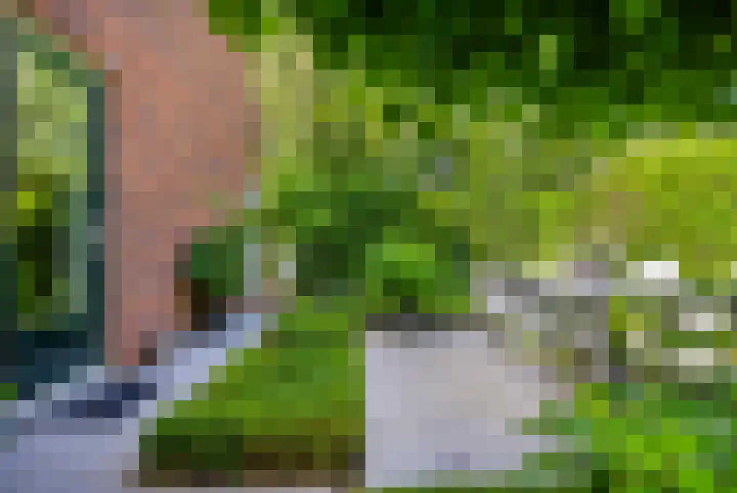 Charlotte van Pallandtlaan 3 Voorburg thumbnail 20