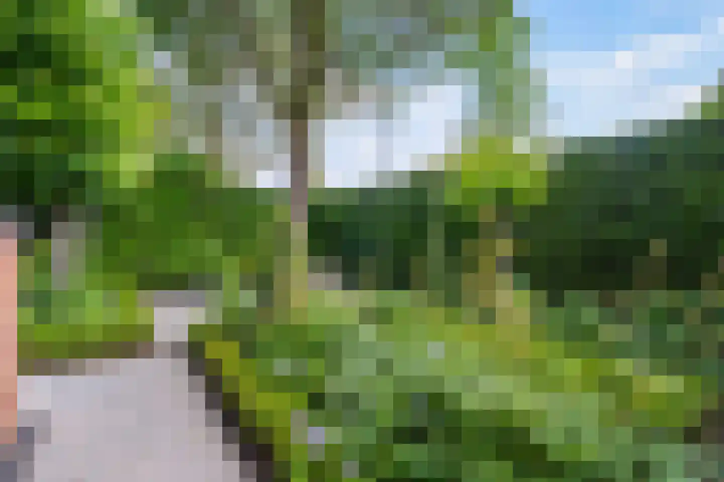 Charlotte van Pallandtlaan 3 Voorburg thumbnail 23