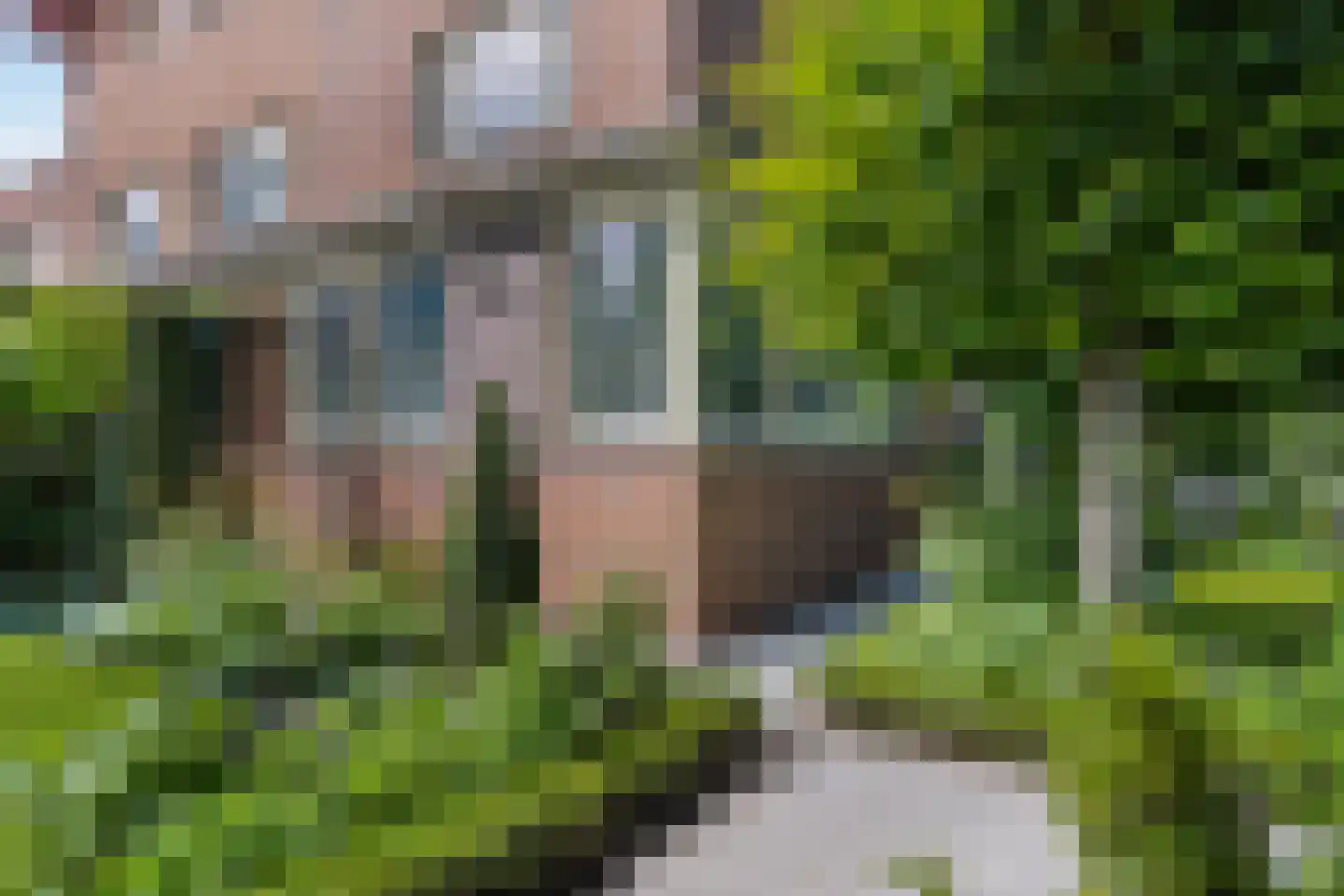 Charlotte van Pallandtlaan 3 Voorburg thumbnail 26