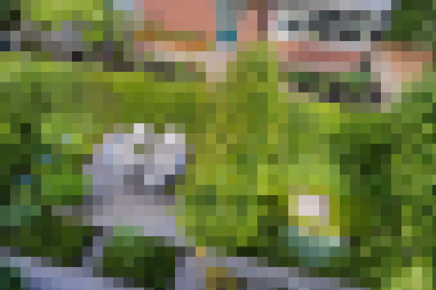 Charlotte van Pallandtlaan 3 Voorburg thumbnail 27
