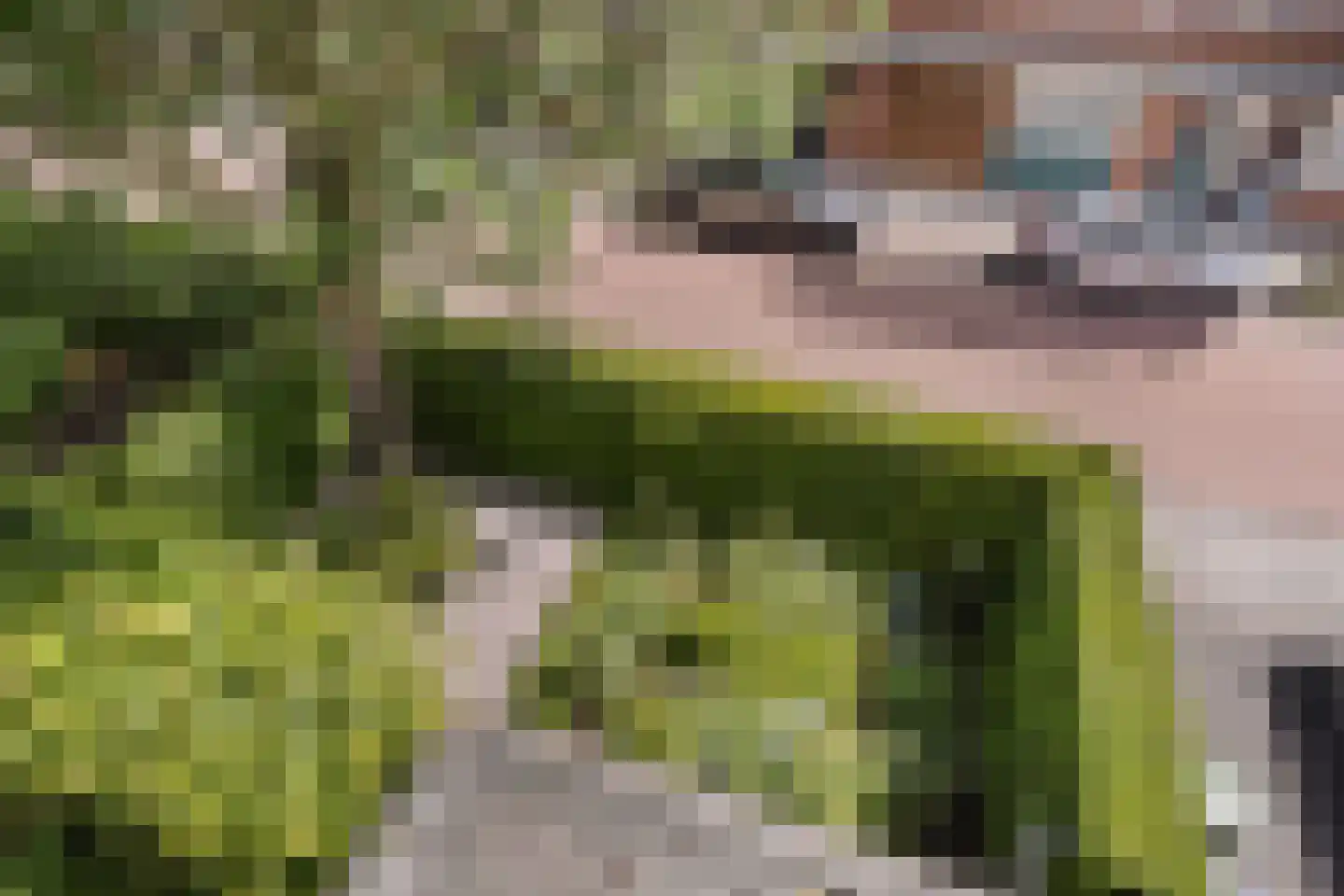 Charlotte van Pallandtlaan 3 Voorburg thumbnail 28