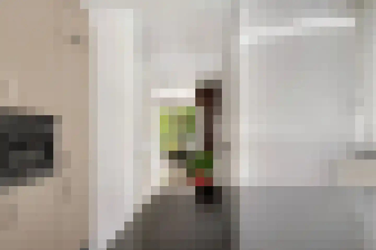 Charlotte van Pallandtlaan 3 Voorburg thumbnail 34