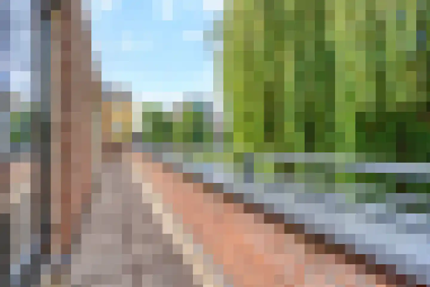 Charlotte van Pallandtlaan 3 Voorburg thumbnail 37