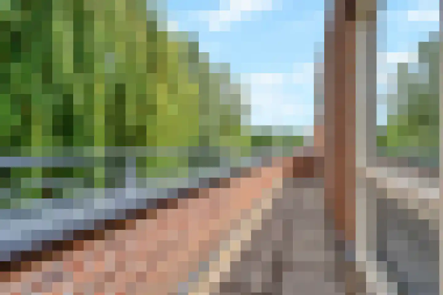 Charlotte van Pallandtlaan 3 Voorburg thumbnail 38