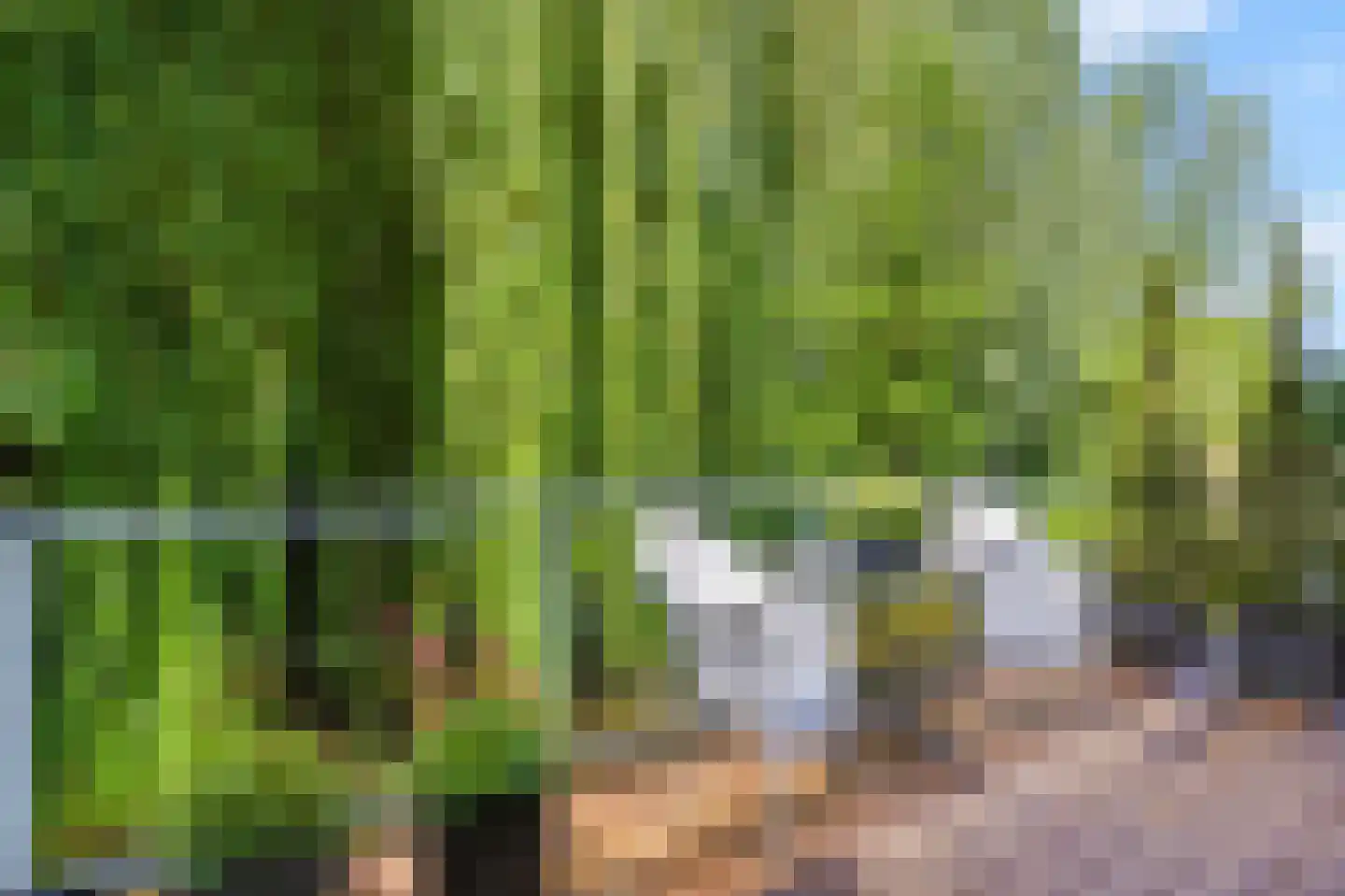 Charlotte van Pallandtlaan 3 Voorburg thumbnail 4