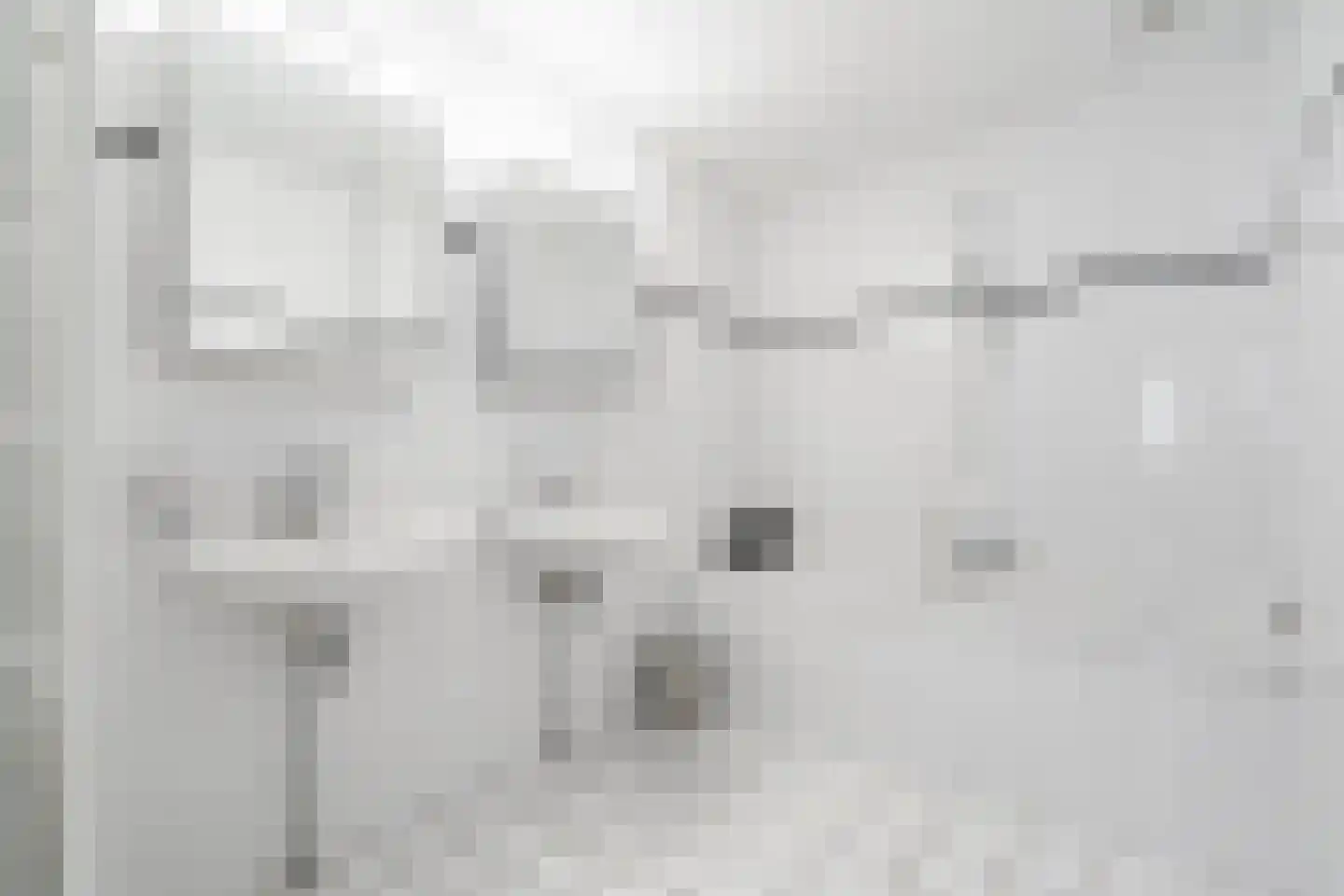 Charlotte van Pallandtlaan 3 Voorburg thumbnail 41