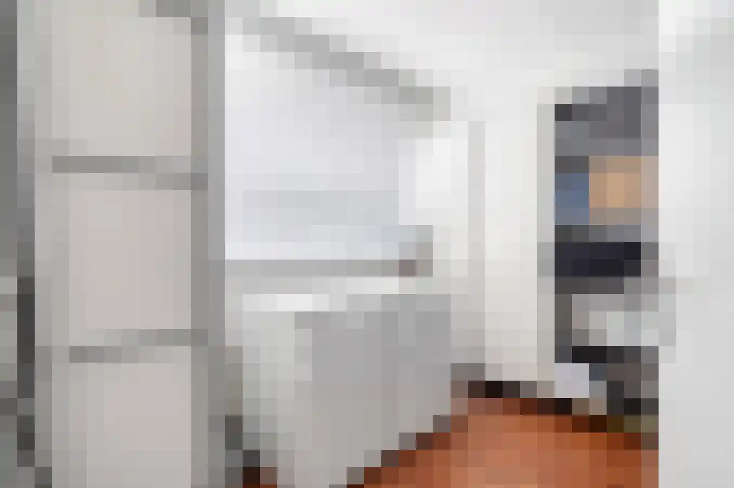 Charlotte van Pallandtlaan 3 Voorburg thumbnail 43