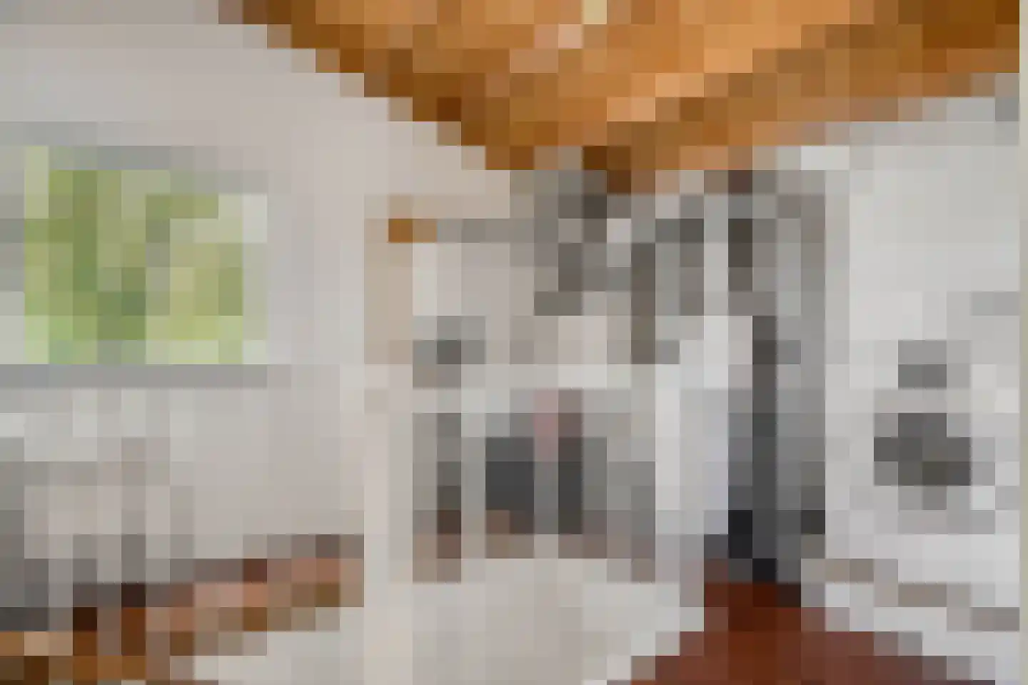 Charlotte van Pallandtlaan 3 Voorburg thumbnail 46