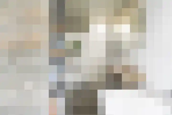 Charlotte van Pallandtlaan 31 Heemstede thumbnail 15