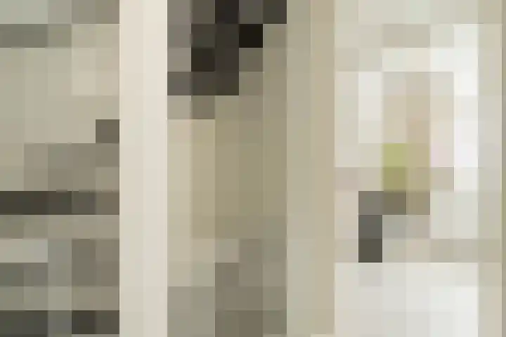 Charlotte van Pallandtlaan 31 Heemstede thumbnail 16