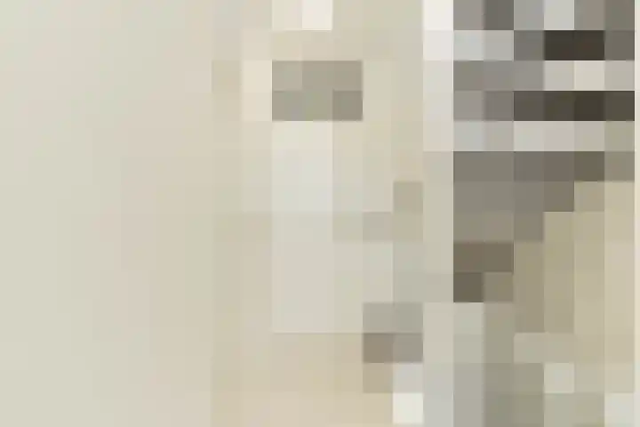 Charlotte van Pallandtlaan 31 Heemstede thumbnail 17