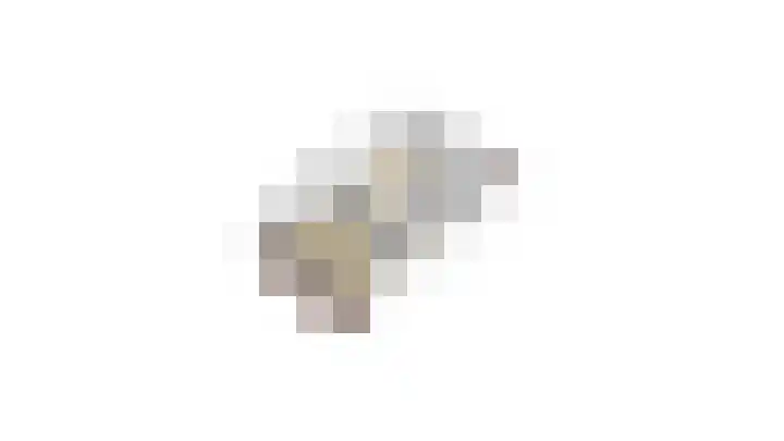 Charlotte van Pallandtlaan 31 Heemstede thumbnail 35
