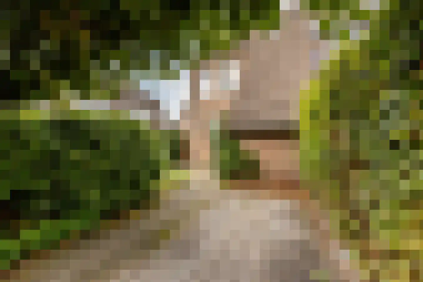Charlotte van Pallandtlaan 6 Heemstede thumbnail 20