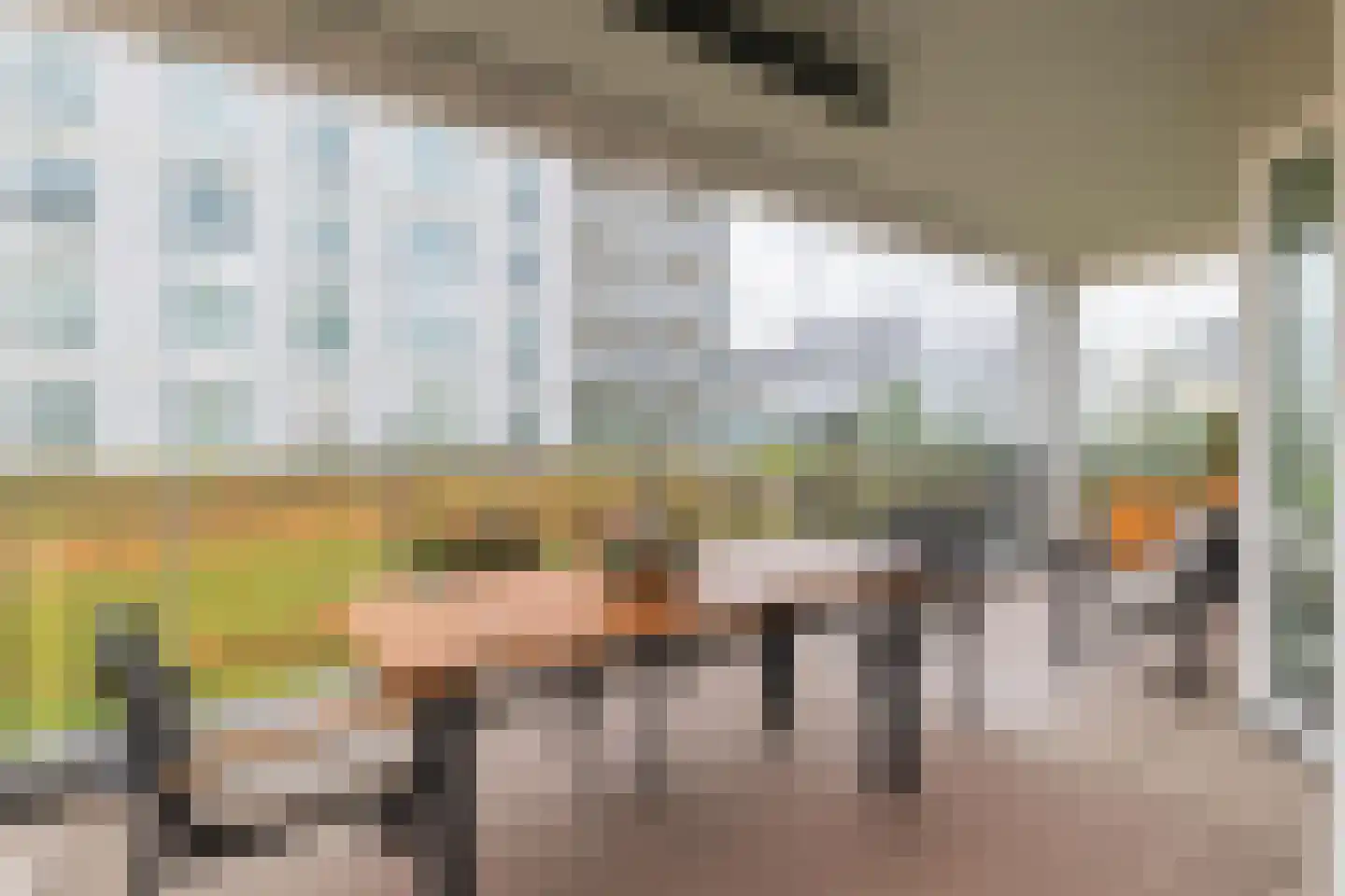 Charlotte van Pallandtstraat 2 Noordwijk thumbnail 17