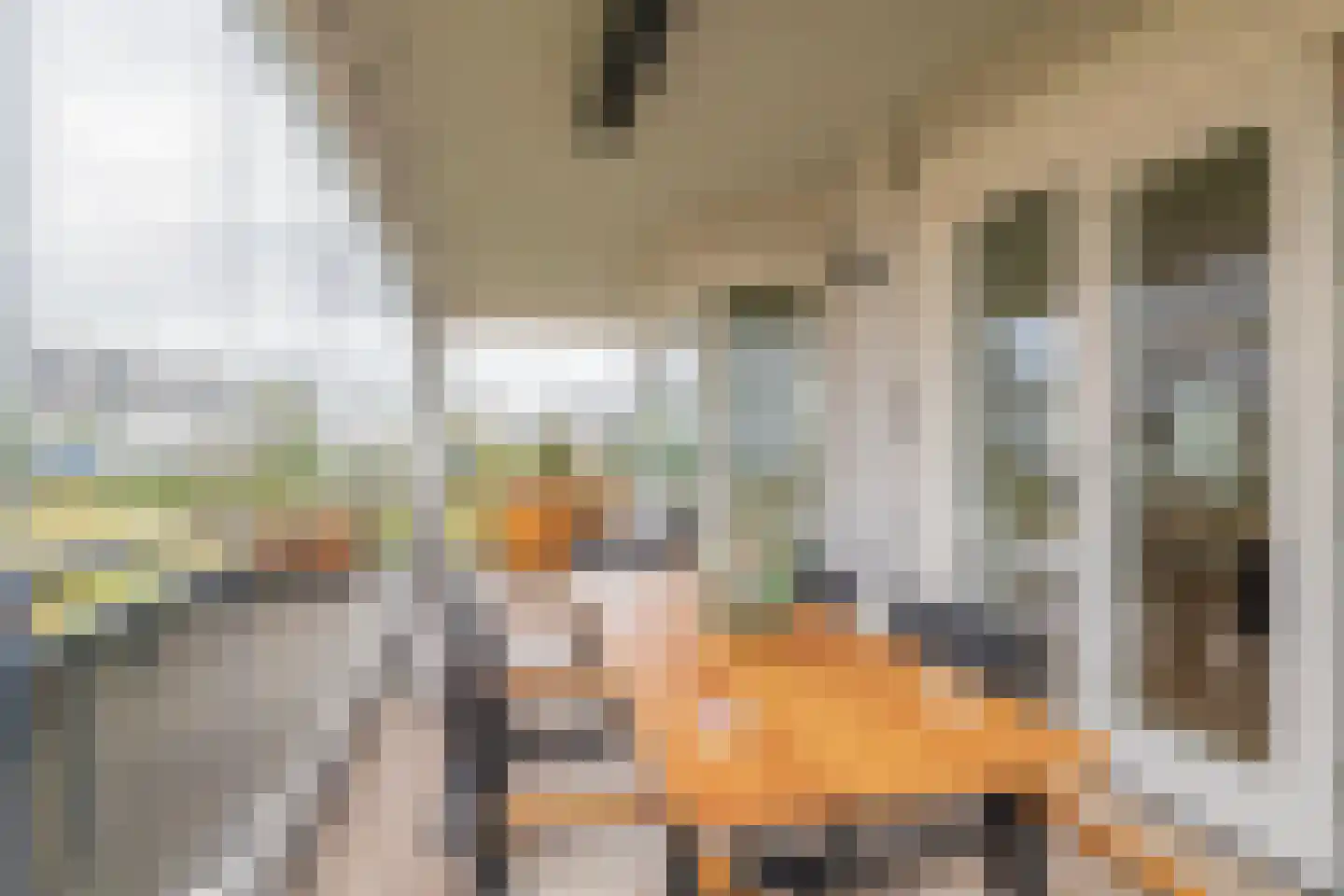 Charlotte van Pallandtstraat 2 Noordwijk thumbnail 18
