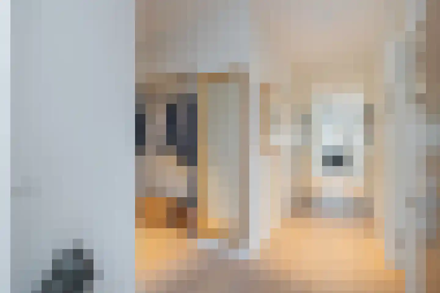 Charlotte van Pallandtstraat 2 Noordwijk thumbnail 5