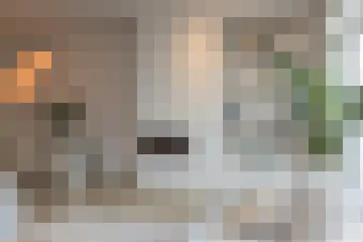 Charlotte van Pallandtstraat 40 Noordwijk thumbnail 11