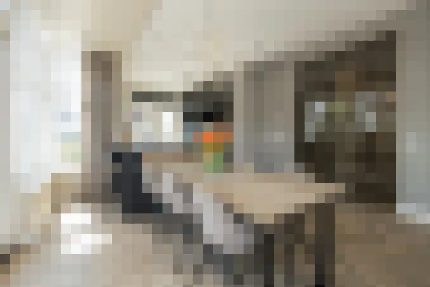 Charlotte van Pallandtstraat 7 Noordwijk thumbnail 10