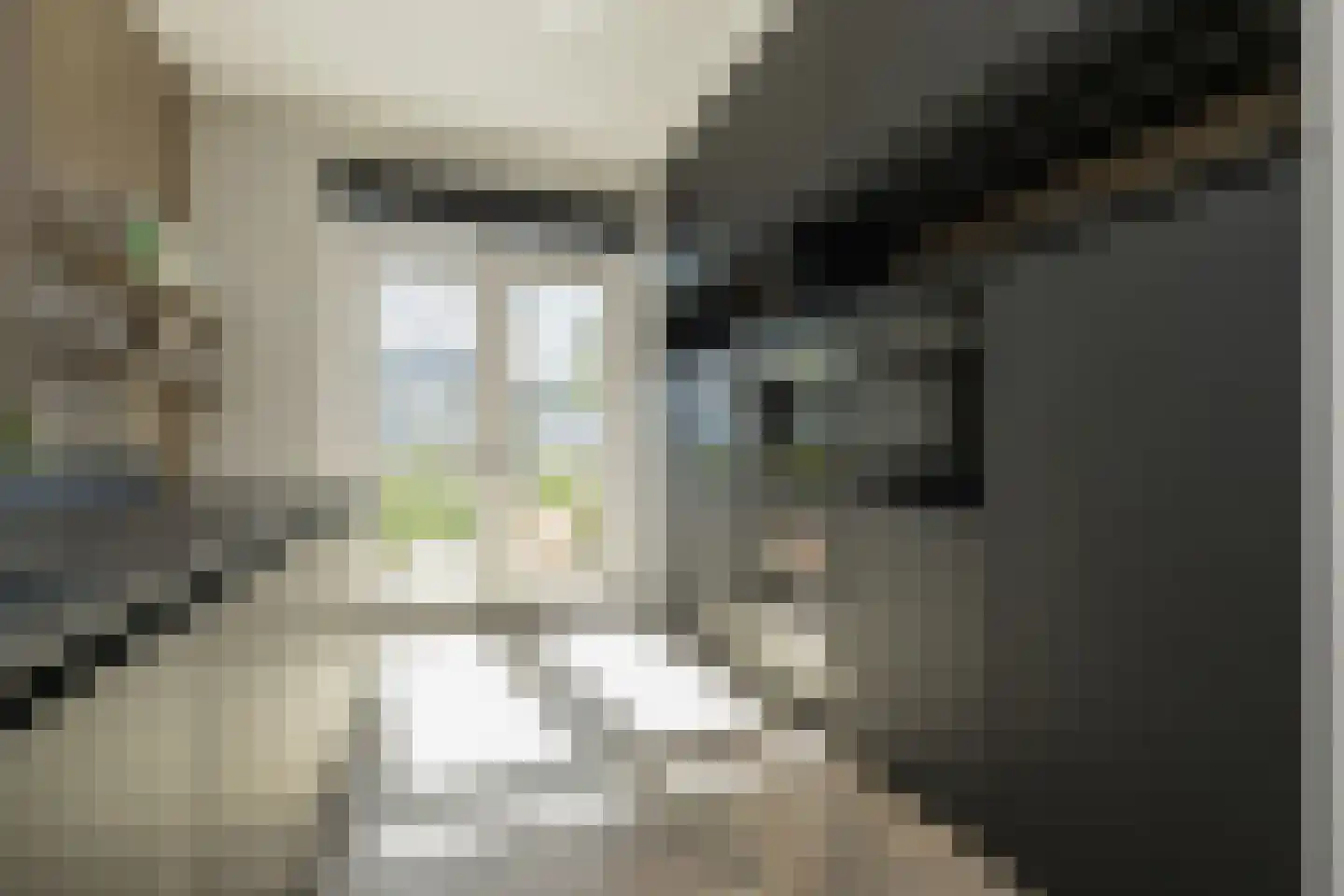 Charlotte van Pallandtstraat 7 Noordwijk thumbnail 11