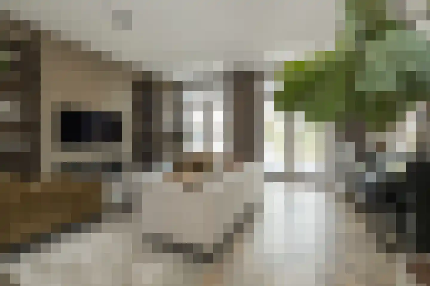 Charlotte van Pallandtstraat 7 Noordwijk thumbnail 14