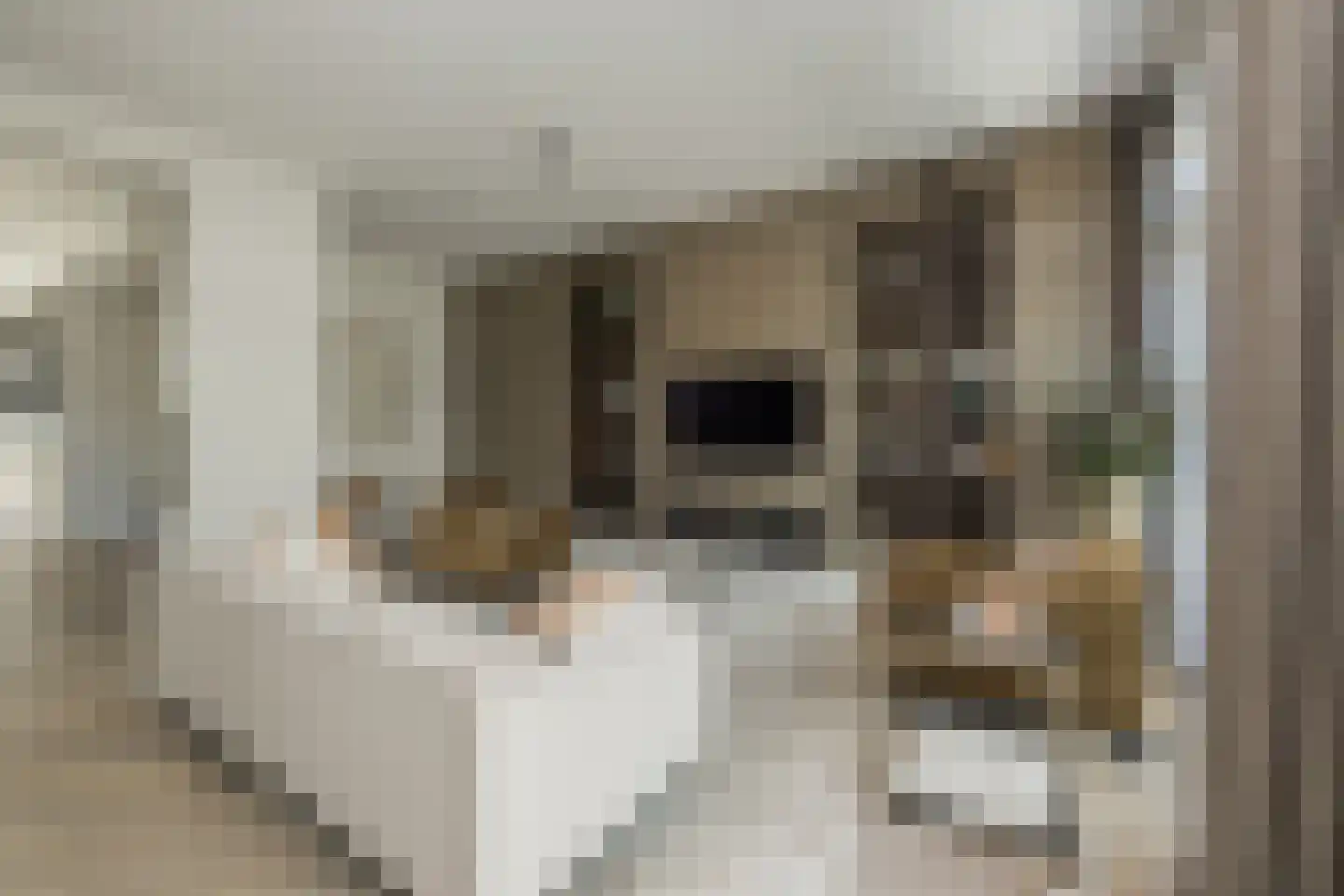 Charlotte van Pallandtstraat 7 Noordwijk thumbnail 16