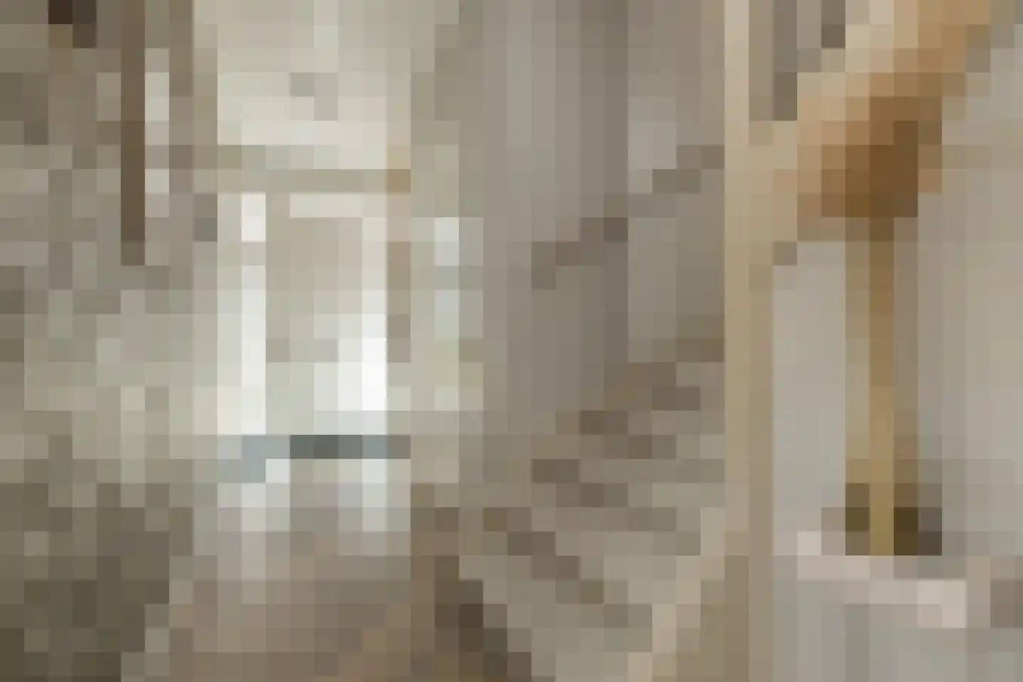 Charlotte van Pallandtstraat 7 Noordwijk thumbnail 6