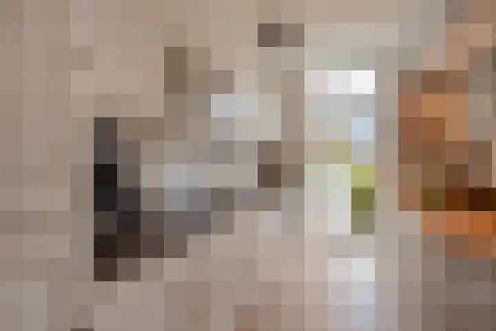 Charlotteplaats 16 Zoetermeer thumbnail 11