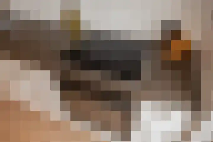 Charlotteplaats 16 Zoetermeer thumbnail 12