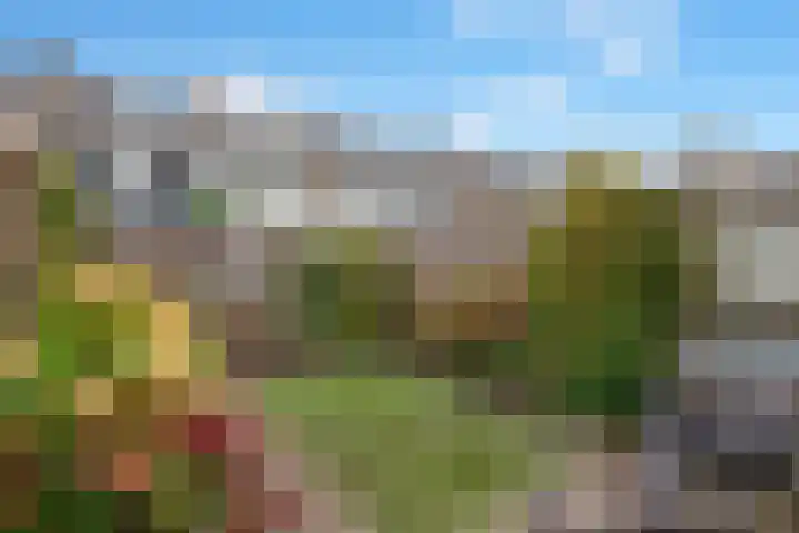 Charlotteplaats 16 Zoetermeer thumbnail 13
