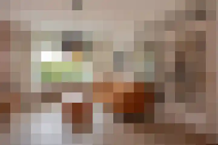 Charlotteplaats 16 Zoetermeer thumbnail 17