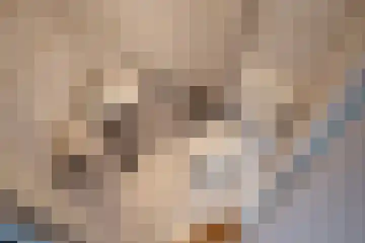 Charlotteplaats 16 Zoetermeer thumbnail 18