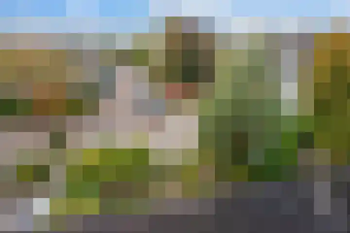 Charlotteplaats 16 Zoetermeer thumbnail 35