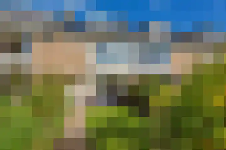 Charlotteplaats 16 Zoetermeer thumbnail 37