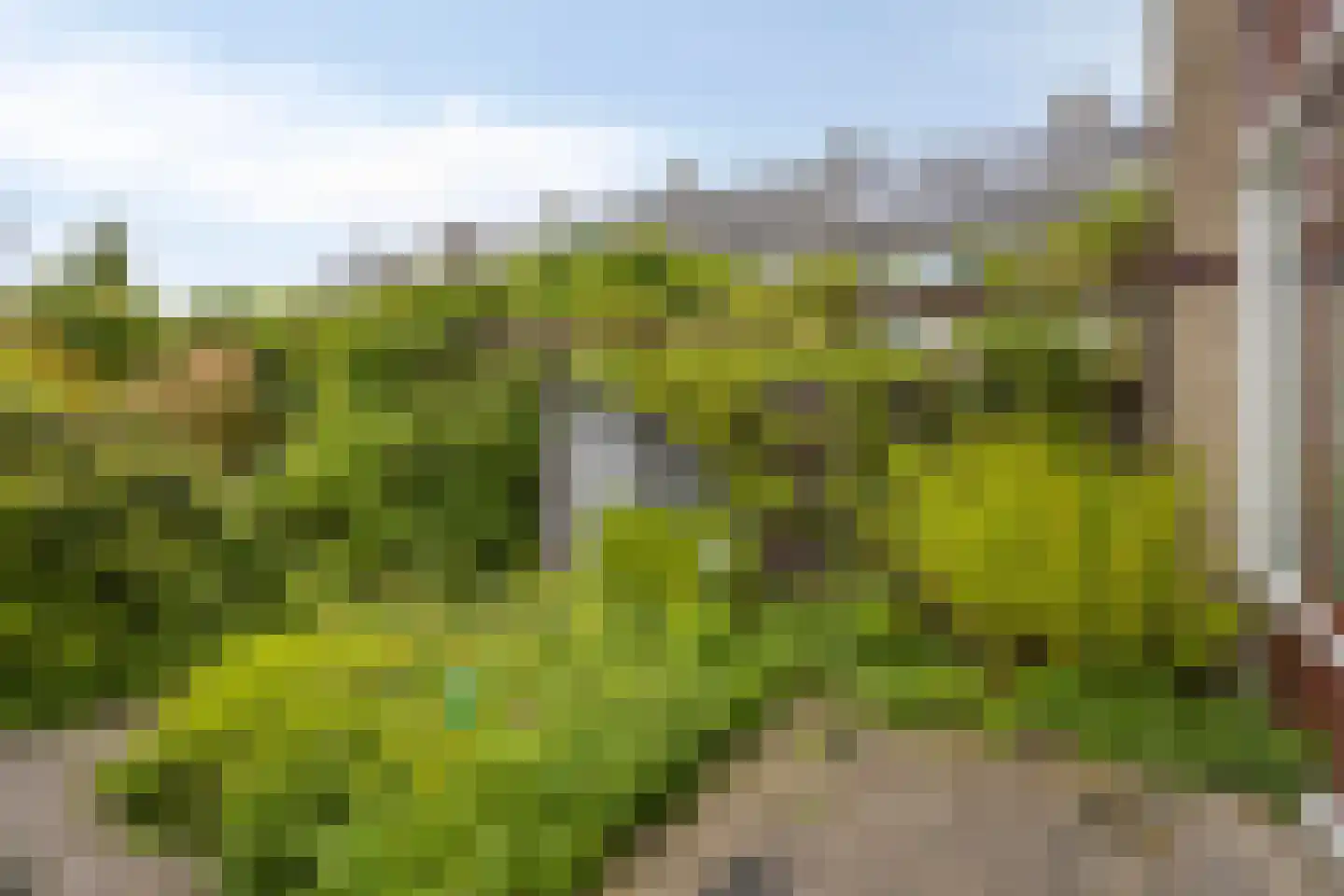 Charlotteplaats 32 Zoetermeer thumbnail 31