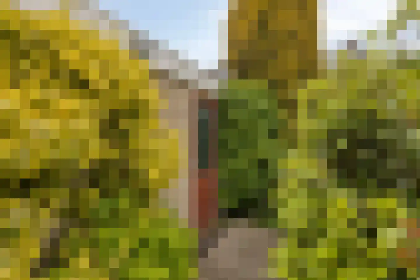 Charlotteplaats 32 Zoetermeer thumbnail 32