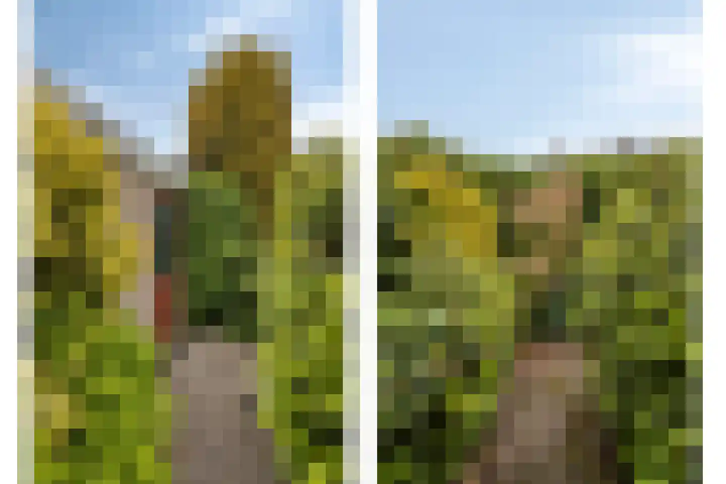 Charlotteplaats 32 Zoetermeer thumbnail 33